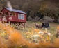 Valea Verde 3 jpg