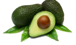 avocado jpeg