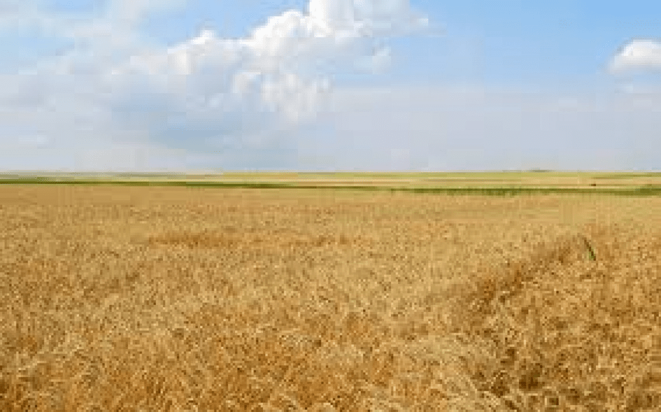 Ministerul Agriculturii se implică în proiectele energetice ale României