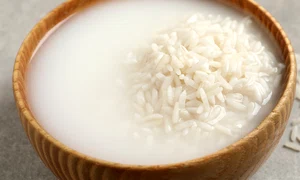 shutterstock 2115376604 jpg