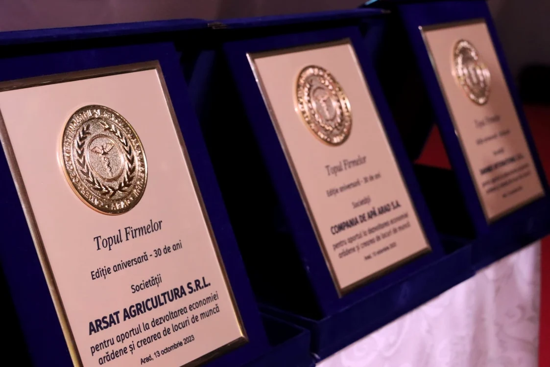 Cele de TOP au fost premiate FOTO Claudia Untaru 