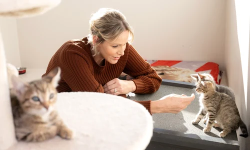 Charlene Monaco Facebook jpg