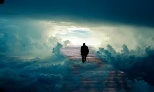 tumisu man 5640540 jpg