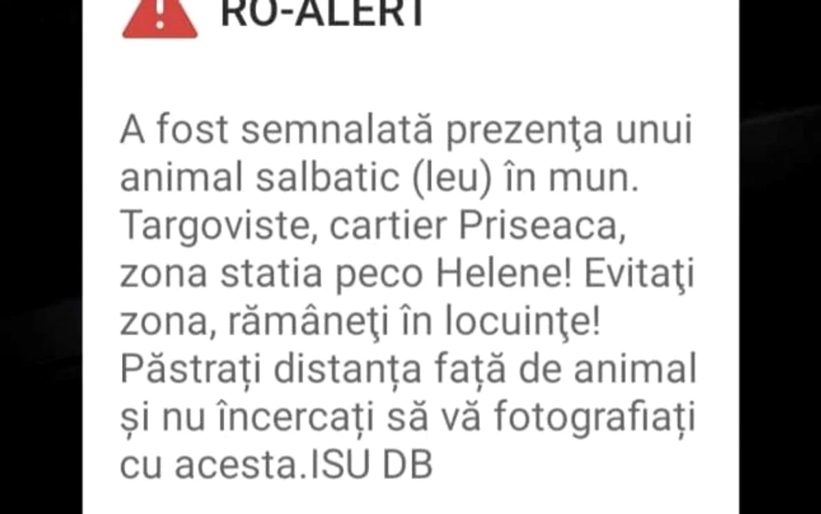 Acesta este mesajul transmis de ISU prin Ro-Alert. Foto: Adevarul