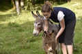 girl and donkey 4340523 1920 jpeg