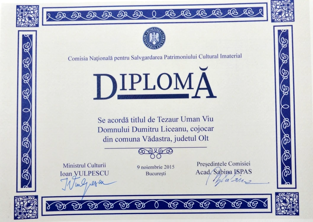 diploma dumitru liceanu