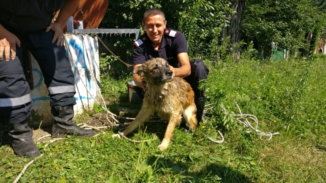 Caţelul a fost scos din fântână de pompieri                                                   FOTO: ISU GORJ