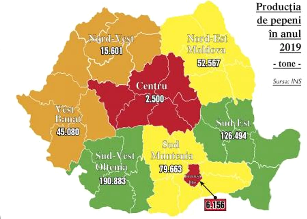 Harta pepenilor din România arată județele campioane la cultivarea acestui fruct de sezon