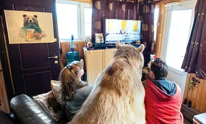 Cu toţii se uită seara la televizor jpeg