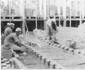 Imagini din combinat 1950 Foto Arhiva CSH (50) jpg