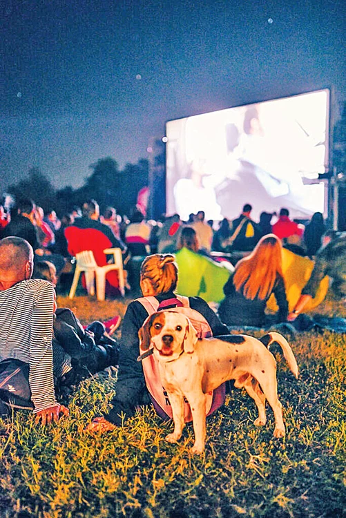 Festivalul Anonimul  se ţine în Delta Dunării