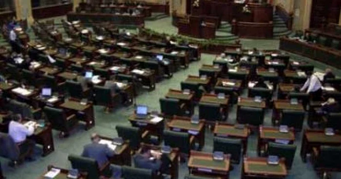 Parlamentul se pregăteşte pentru un nou partid