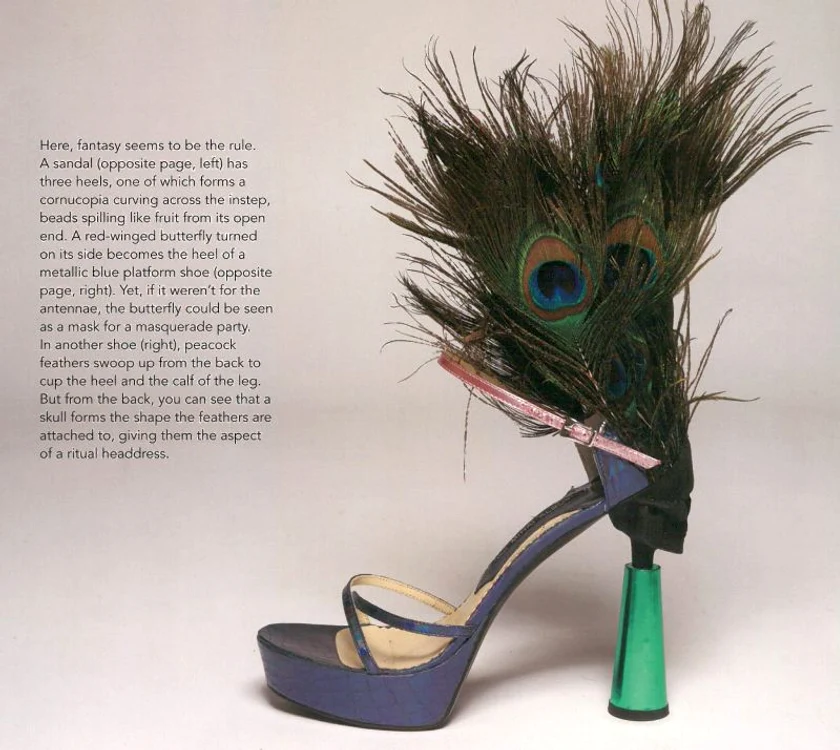 Pantofii lui Mihai Albu, în enciclopedia «Shoegasm».