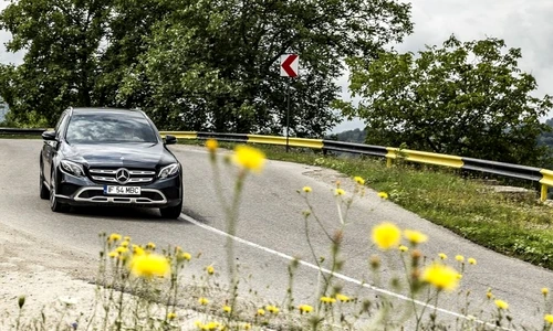 1 77604 original jpg jpeg