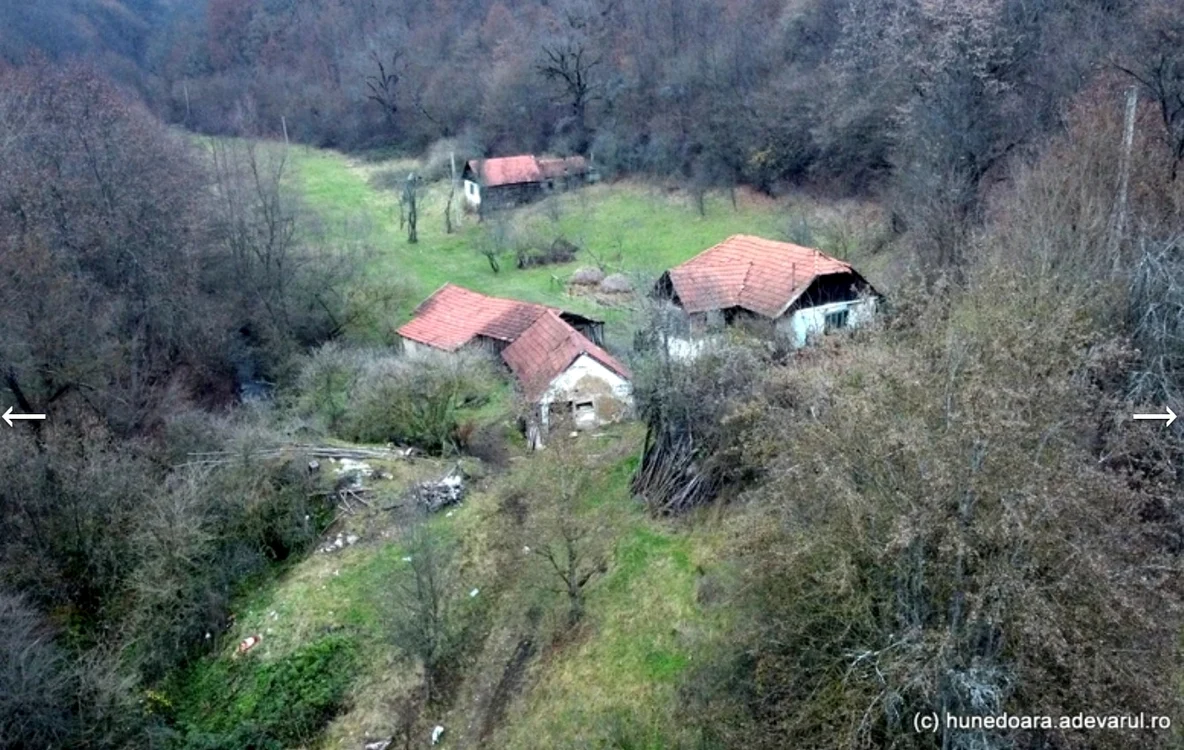 Casele sunt  înconjurate  de pădure