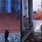 tatansescu bolojan gif
