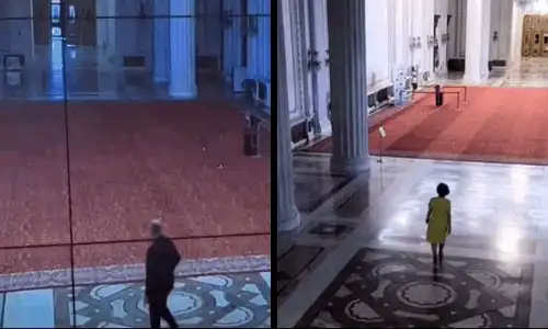 tatansescu bolojan gif