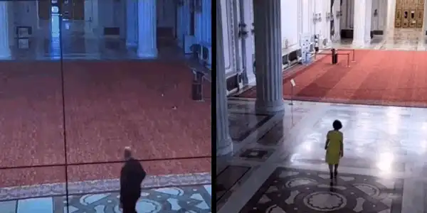 tatansescu bolojan gif