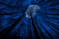 blue moon jpeg