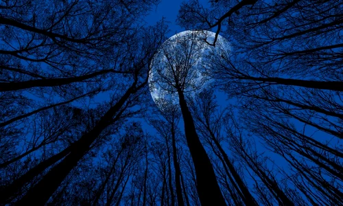 blue moon jpeg