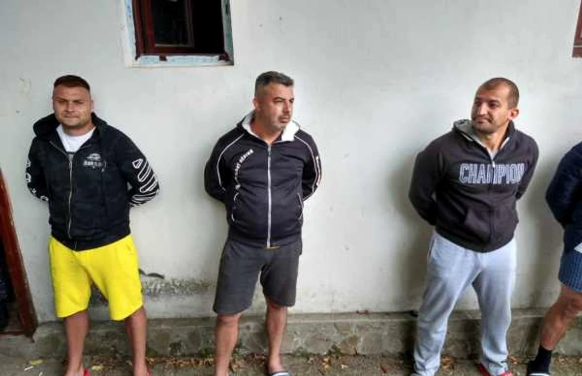 interlopi clanul litrasu