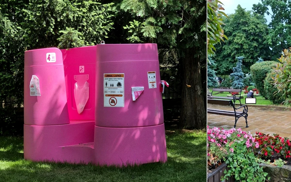 Toaleta care a aprins spiritele în Piatra Neamț. Foto: Facebook. Împreună pentru Piatra Neamț