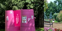Toaletele roz din Piatra Neamț  Foto Grupul Impreună pentru Piatra Neamț  Facebook jpg