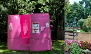Toaletele roz din Piatra Neamț  Foto Grupul Impreună pentru Piatra Neamț  Facebook jpg