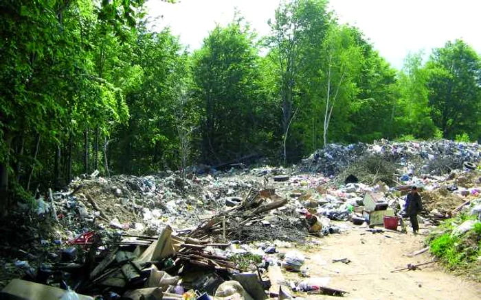 Arad: ORAŞUL PE SCURT / Prinşi la furat de fier vechi