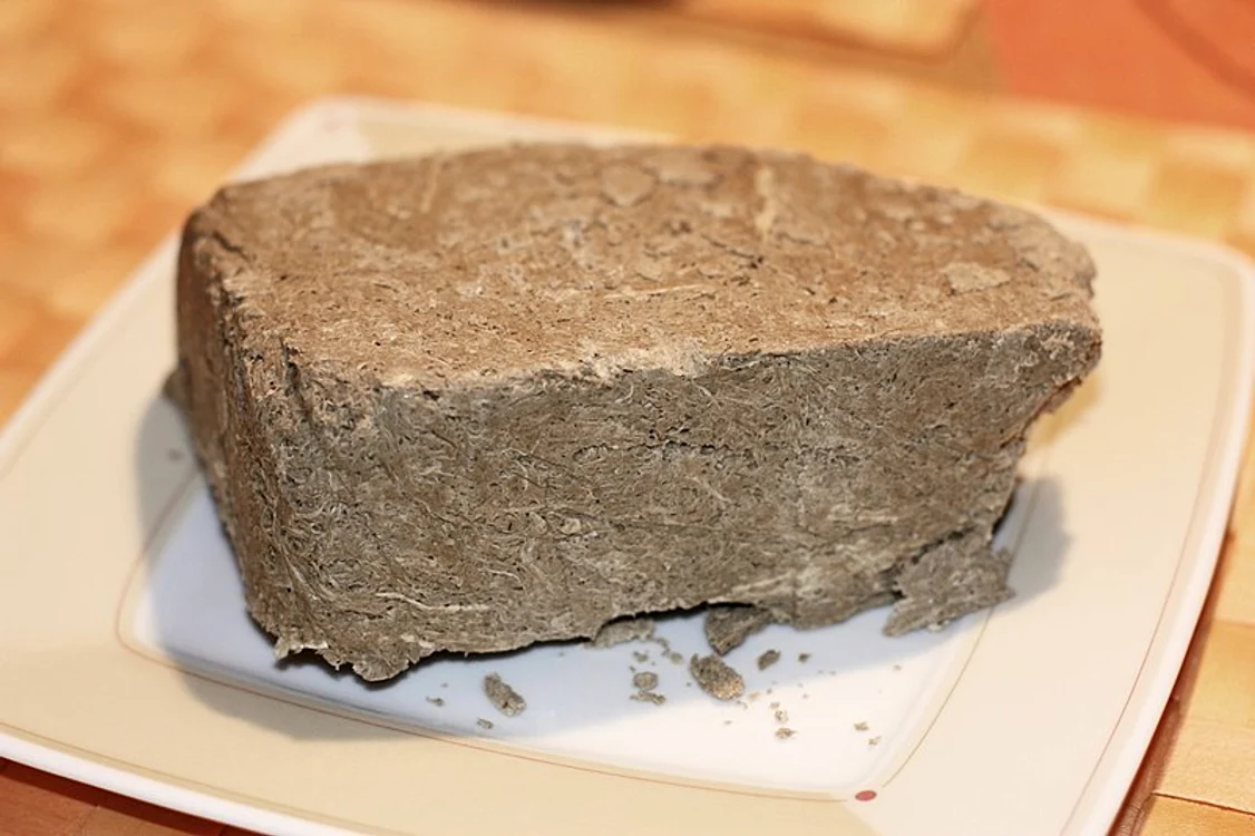 800px sonnenblumenhalva 20091117 005 jpg jpeg