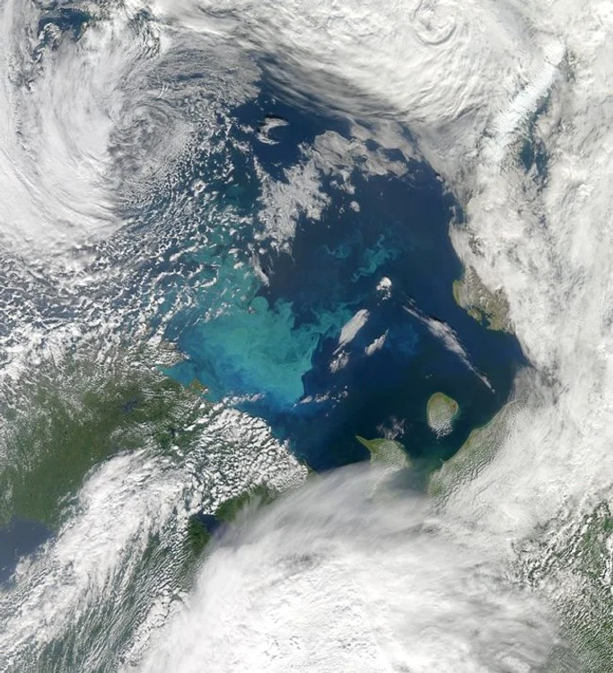 Gropi abisale similare cu cele din Siberia s-ar putea găsi și în Oceanul Atlantic