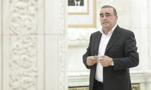 Gigi Netoiu FOTO Inquam / Octav Ganea