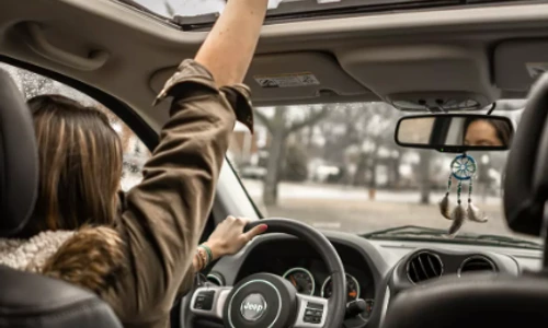 2 bolile care te lasa fara permis lista completa png png