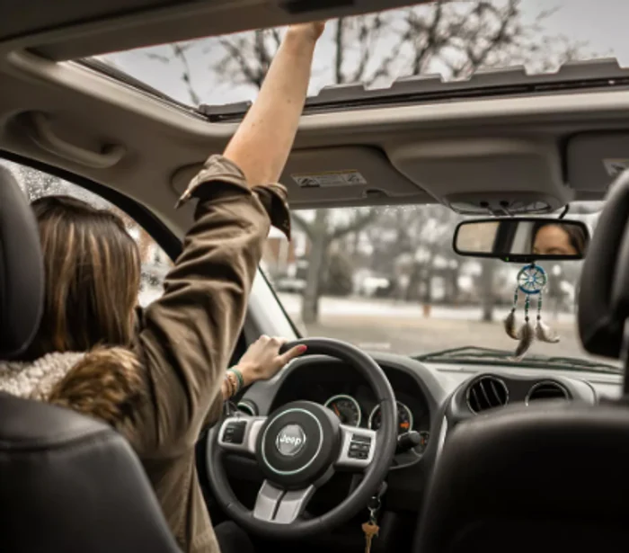 2 bolile care te lasa fara permis lista completa png png