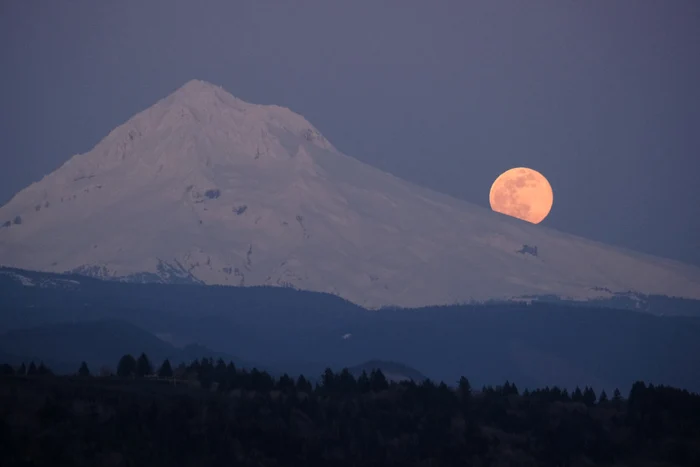 Denumirea astrului ceresc face referire la culoarea florilor de mosc 