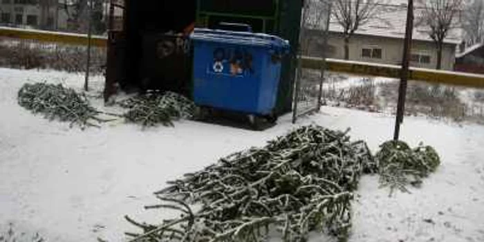 Pomii nevânduţi au fost aruncaţi pe trotuar lângă tomberon