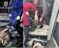 Captură impresionantă în urma unui transport ilegal a patru tone de peşte printre care şi sturion în valoare de 100000 de lei la Vâlcea Foto colaj