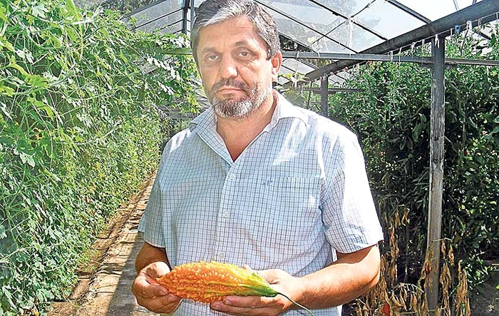 Are compoziţia  asemănătoare  insulinei