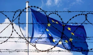 migratie sarma ghimpata uniunea europeana drapel ue foto shutterstock