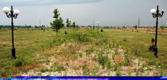 Burienile năpădesc periodic aleile parcului amenajat la marginea Brăilei  FOTO Florentin Coman