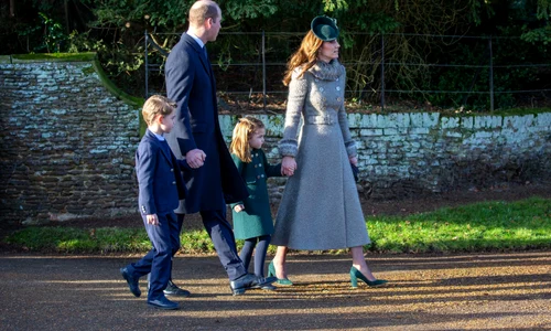 1 profimedia 0489778761 jpg jpeg