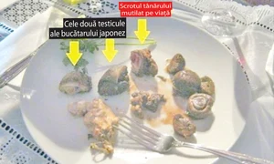 Cele două testicule ale bucătarului japonez jpeg