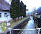 Rușchița Foto Daniel Guță ADEVĂRUL (5) jpg
