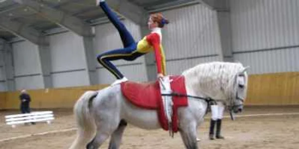 Satu Mare: Sătmărenii au luat podiumul la Campionatul Naţional de Voltije
