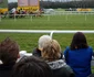 DSC 0139 0 JPG