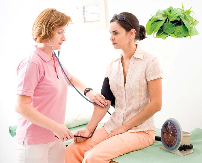 
    Preţul unui kilogram  de spanac este  de circa 6 lei  