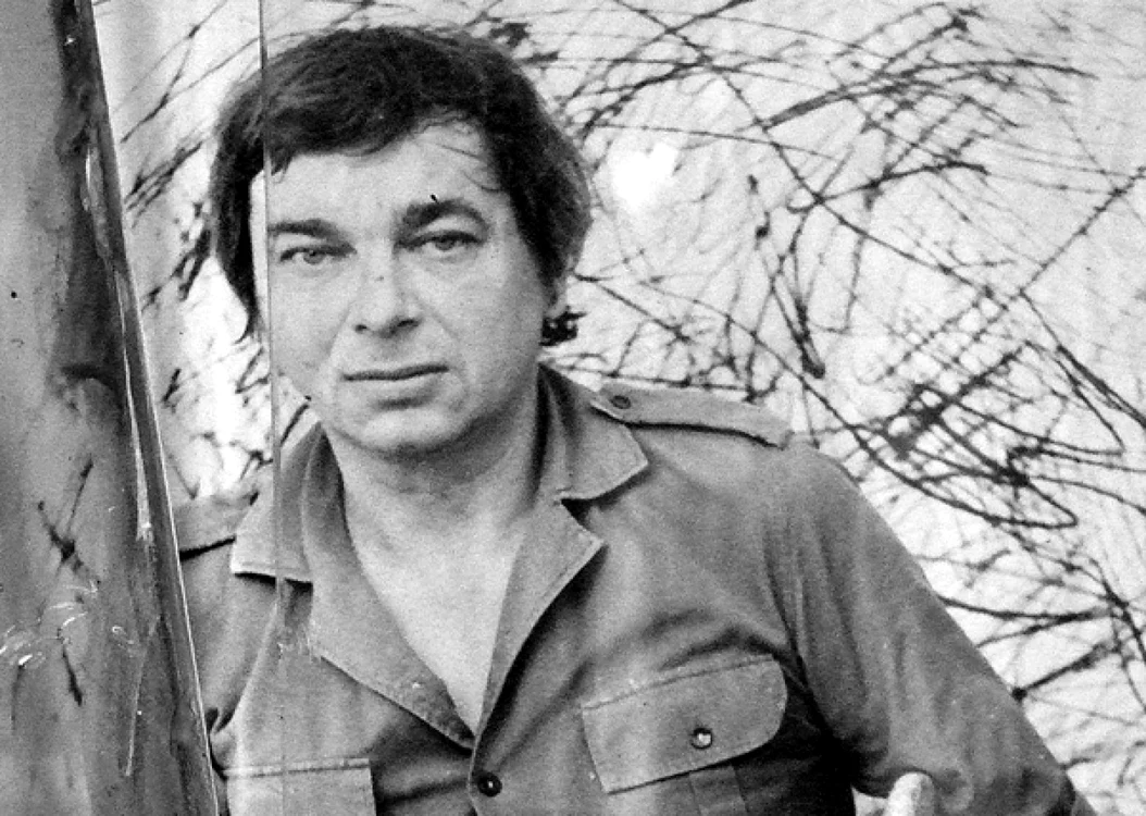 Nichita Stănescu (1933-1983), „frumos ca umbra unei idei“
