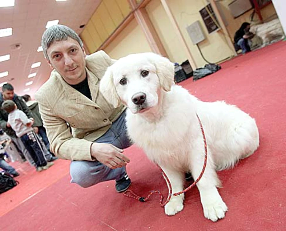 Colegul nostru Călin Radu a fost la expoziţie cu Chispa, o căţeluşă de 9 luni din rasa Golden Retriever