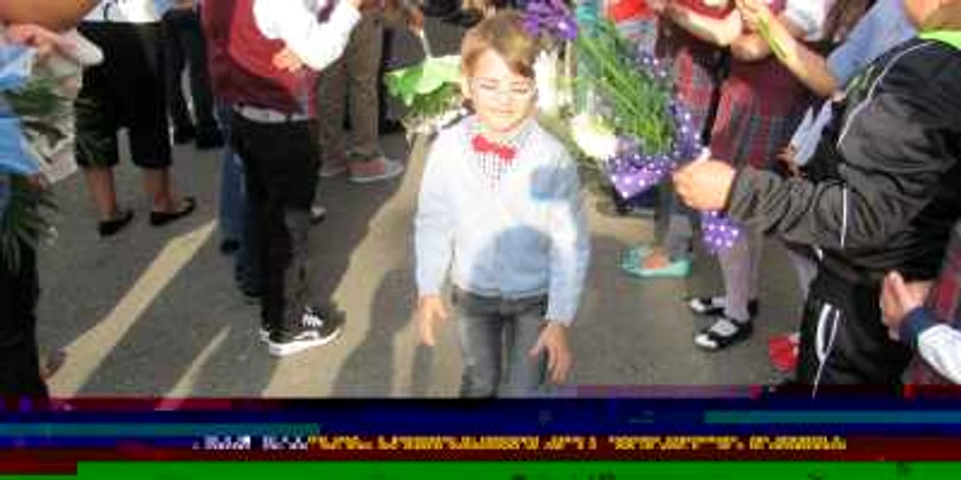 „Soluţia anunţată de ministrul Pricopie, şi ulterior de premierul Ponta (cum că, la nevoie, se pot folosi manualele vechi) arată o uluitoare lipsă de cunoaştere a domeniului”