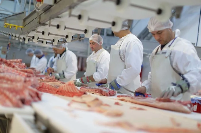 
    Peste 200 de români care lucrează într-un abator din Germania au coronavirus  